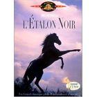 DVD ENFANTS L'ETALON NOIR