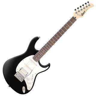 Guitare g110